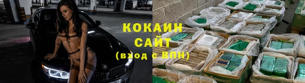 стафф Зерноград