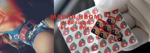 стафф Зерноград
