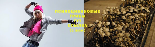 крисы Зеленокумск