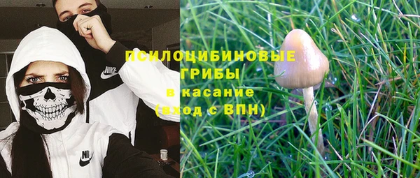 стафф Зерноград