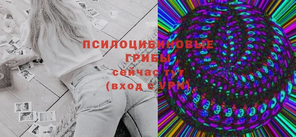 крисы Зеленокумск