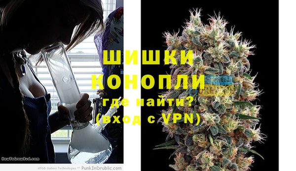 крисы Зеленокумск