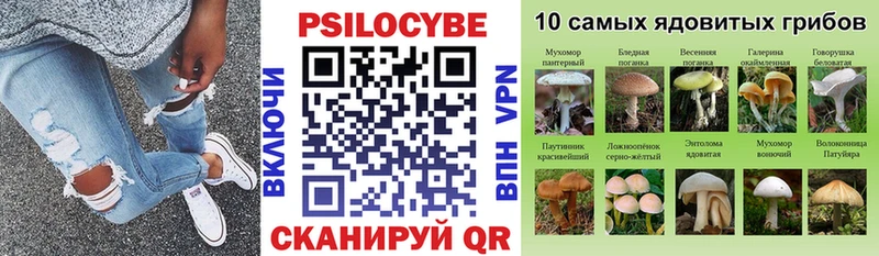 Купить закладки  Красноуфимск  Галлюциногенные грибы Psilocybe 